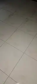 مبلط بلاط  شان  عبدالمج د 3