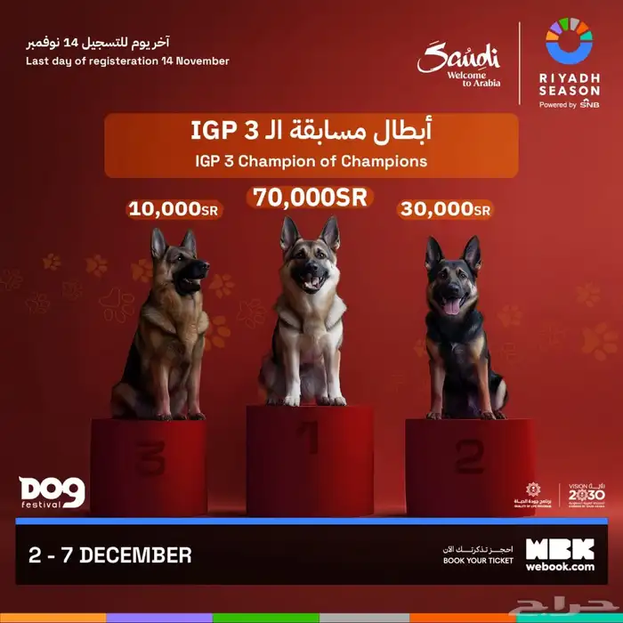 مدرب كلاب 11