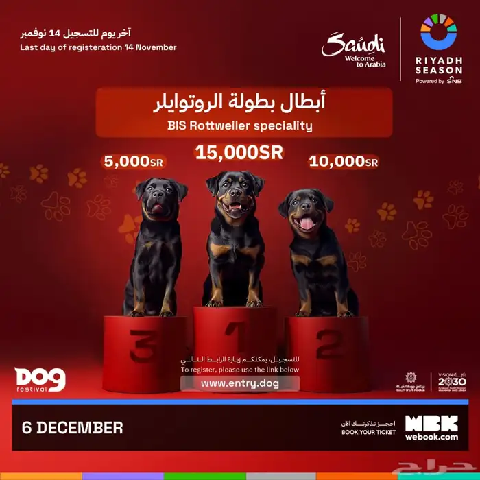 مدرب كلاب 8