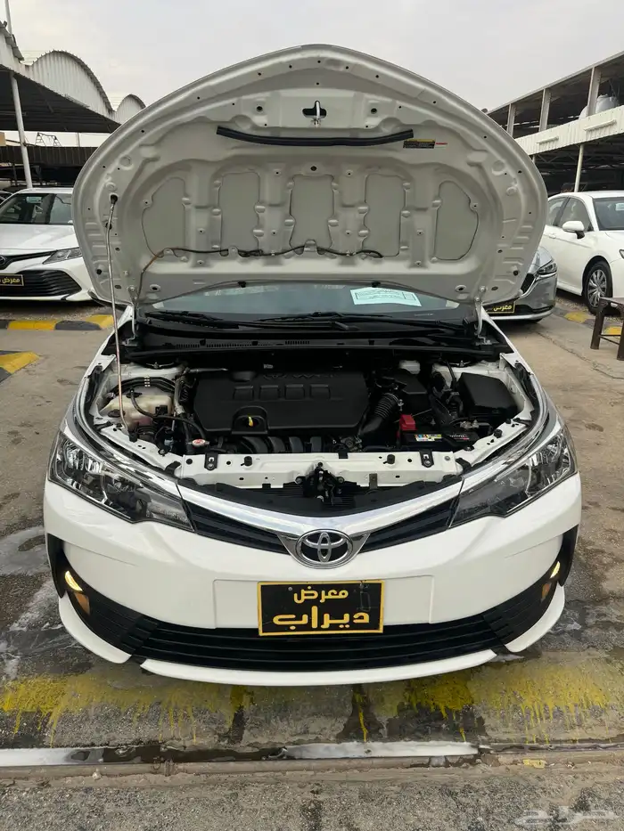 كورولا 2019 21