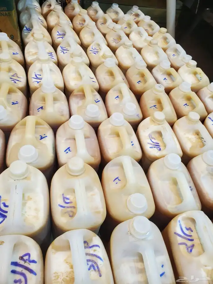 عسل سدر ملكي 1