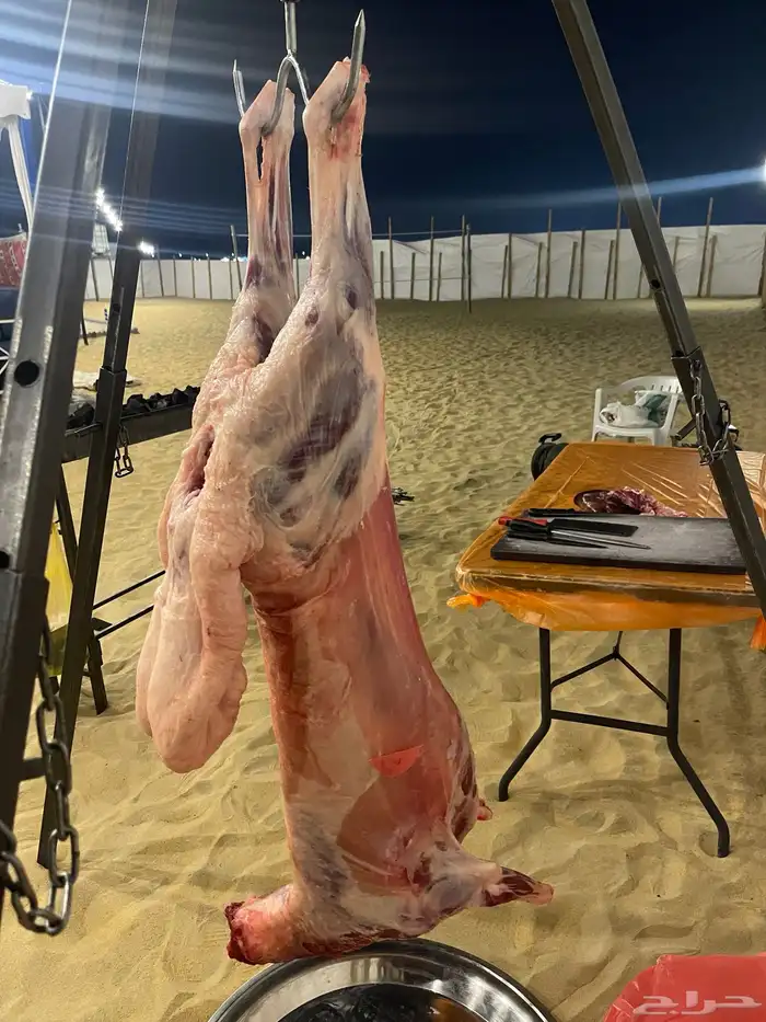 مشويات خارجيه شواء متنقل 2