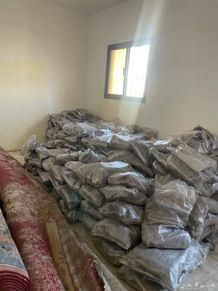 حطب افريقي مستور 0