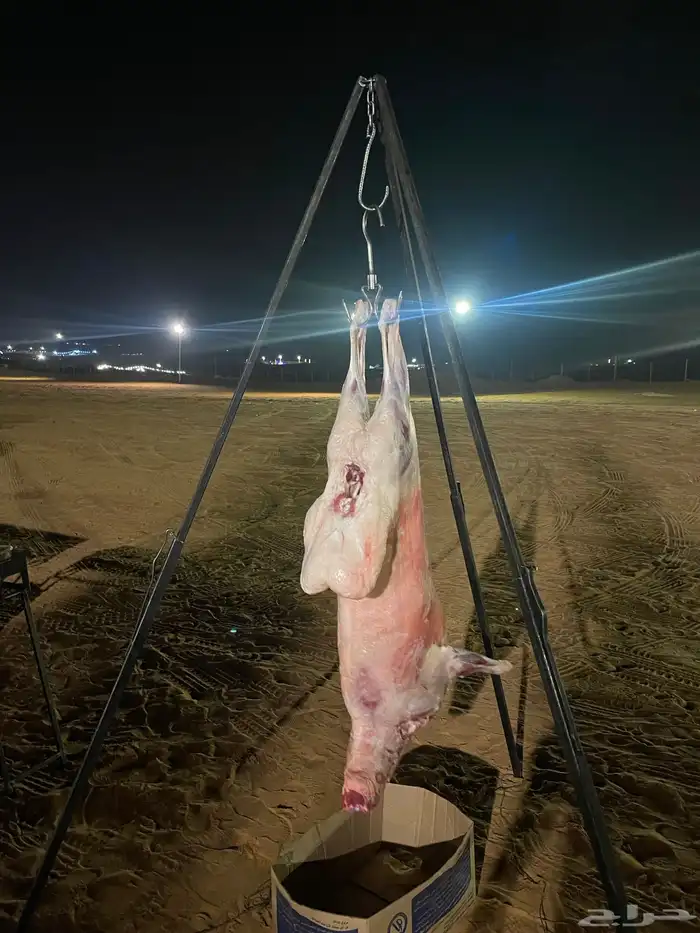 معلم مشويات 7