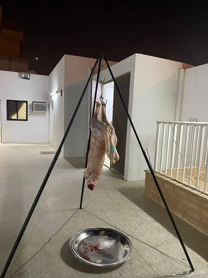 معلم مشويات 20