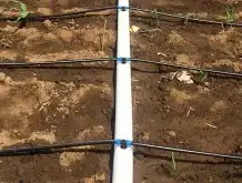 تنسيق حدائق وشبكات ري 6