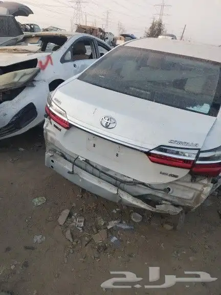 كورلا 2018 1