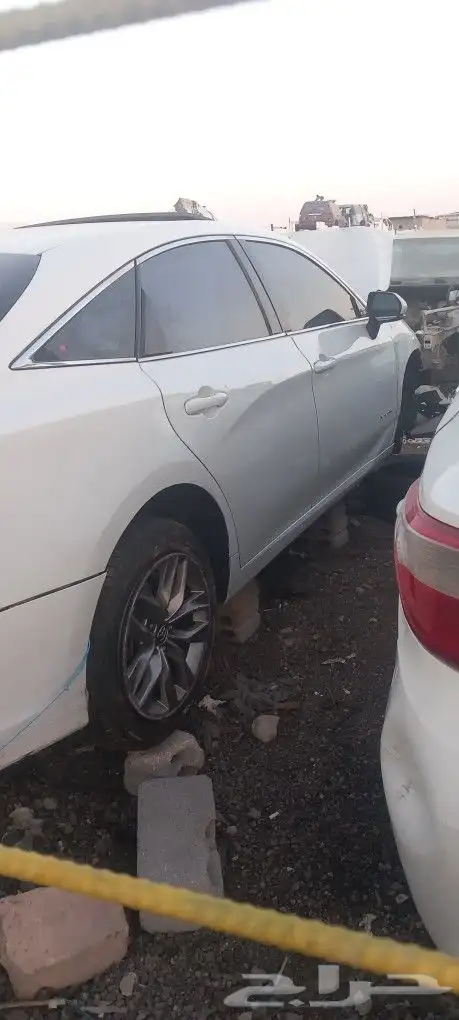 قطع افلون2020لؤلؤي وكاله 2