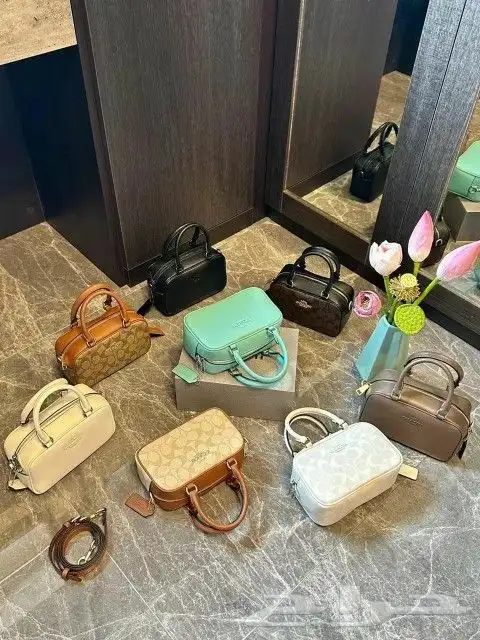 يوجد جميع الشنط جمله قطاعي 6