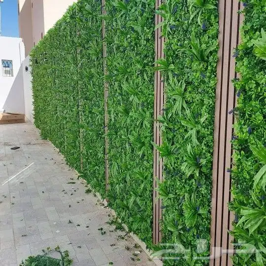 تنسيق حدائق 8