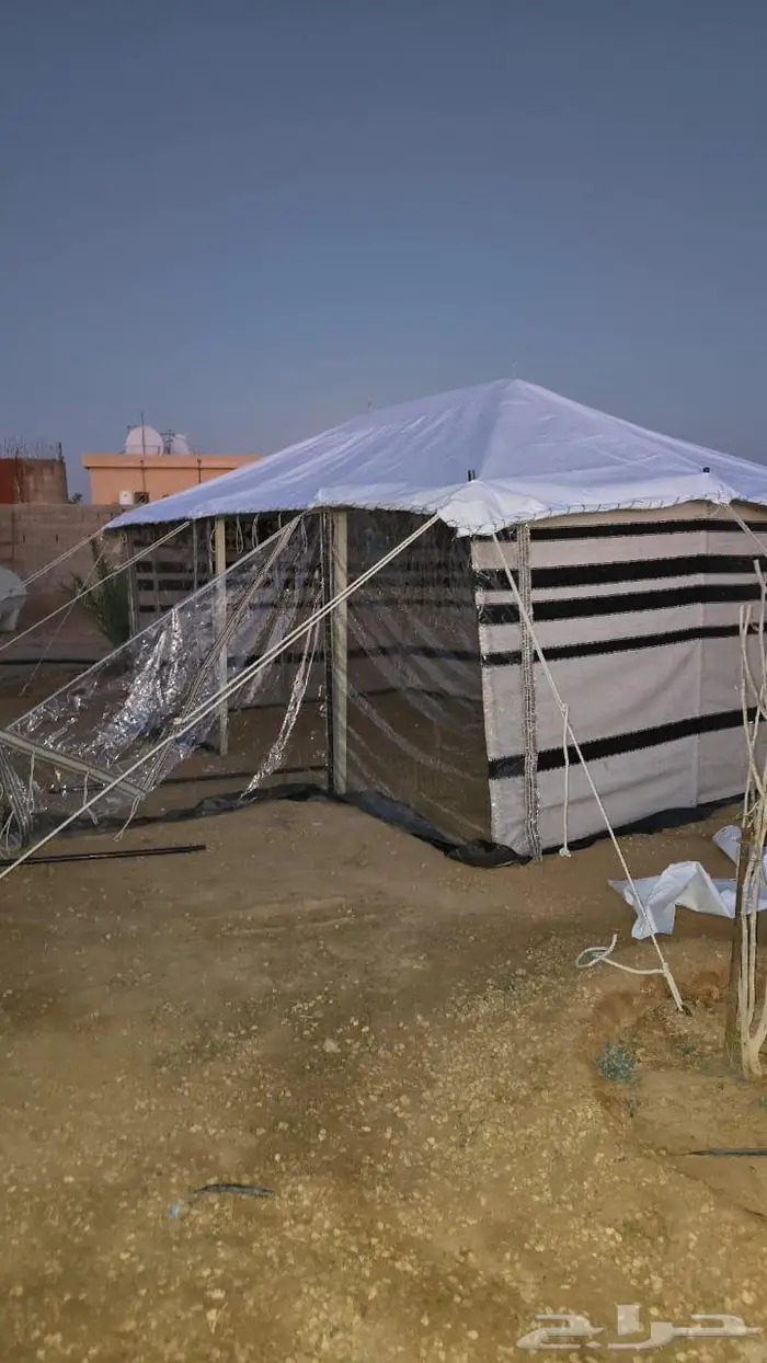 تجهيز مخيمات بيوت شعر أبيض تركي فرش مساند مراكي 5