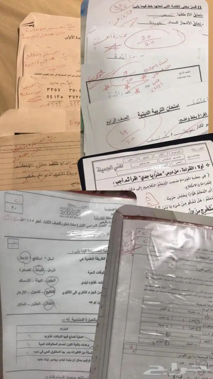 معلمة خصوصية في الخبر 3