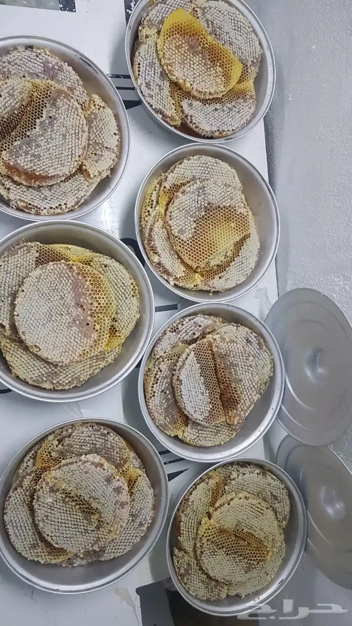 عسل شمع بلدي 1