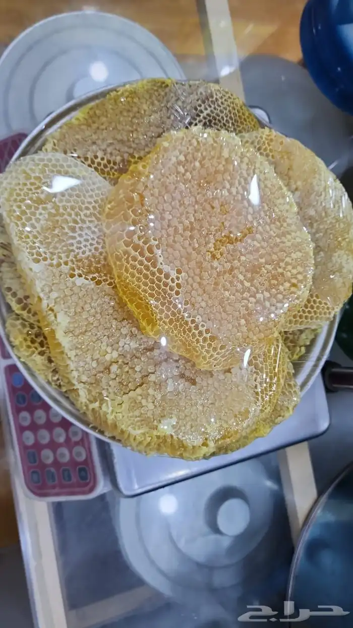 عسل سدر بلدي اصلي مضمون وع الشرط انتاج جديد 1446 8