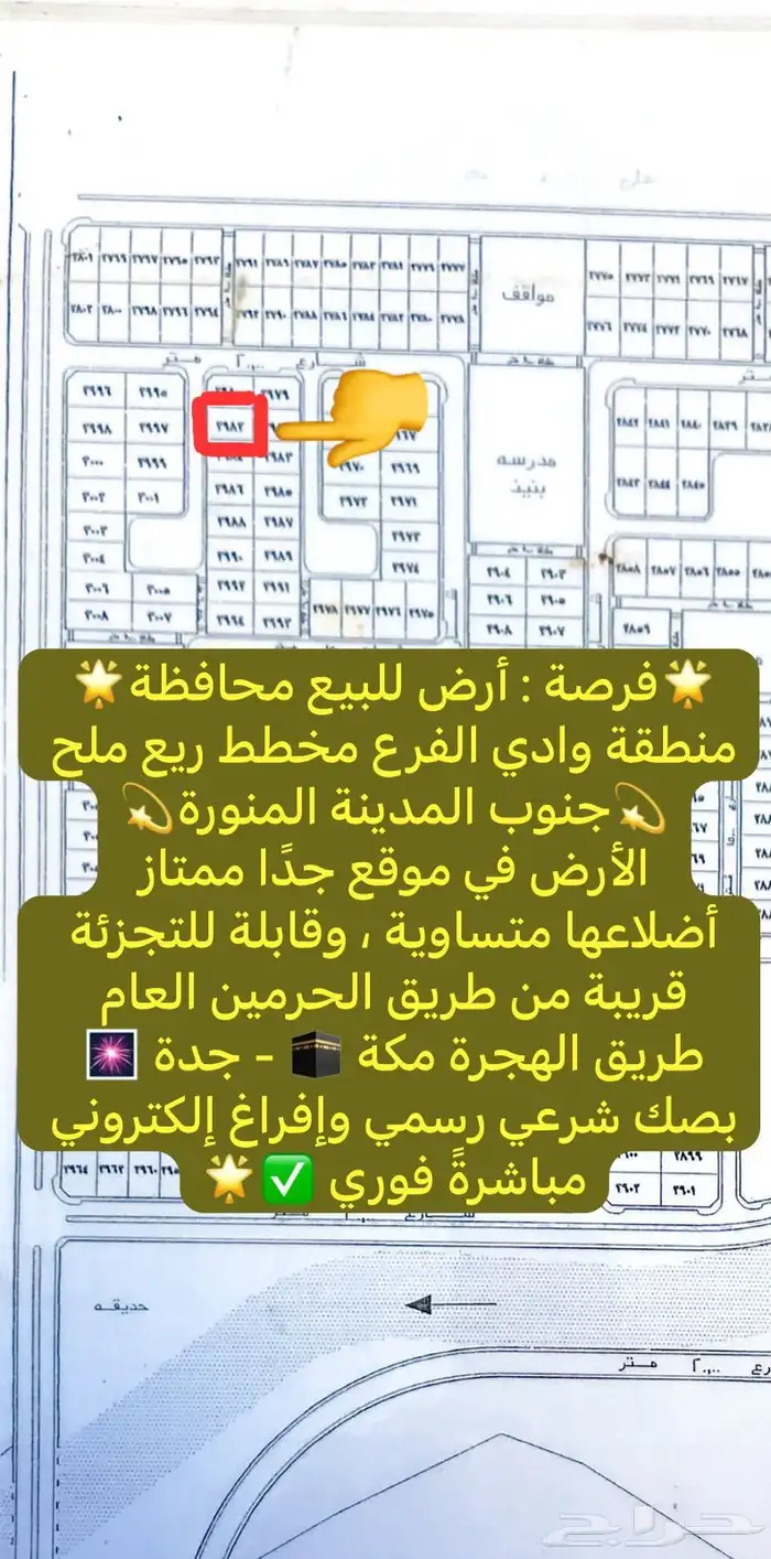 أرض للبيع مخطط وادي الفرع جنوب المدينة ريع ملح 1