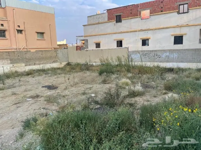 شقق للإيجار 28