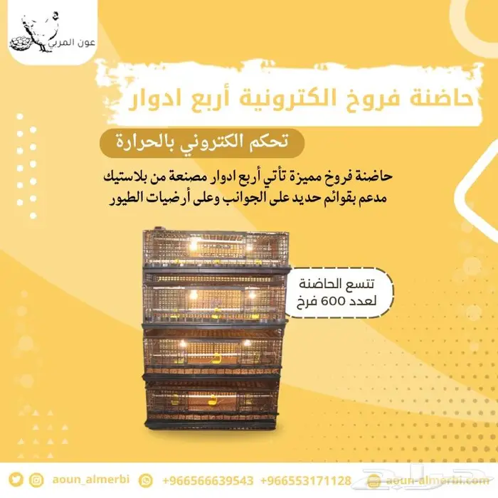 حاضنة طيور تدفئة اوتوماتيك 1