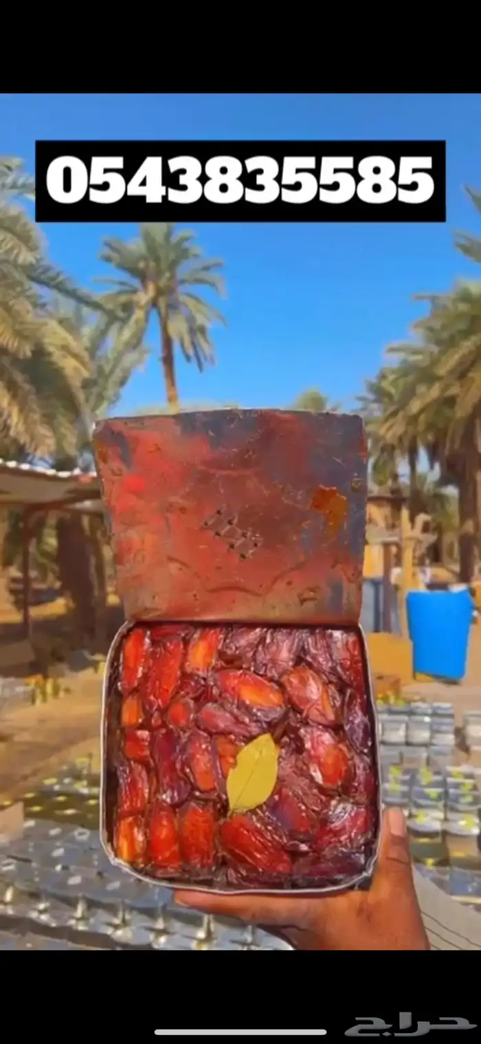 صفري بيشة درجة اولى 1