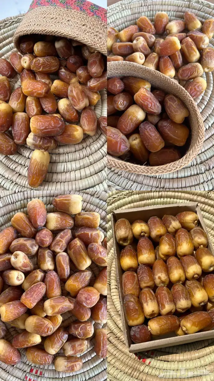 تمر صقعي طيب 4