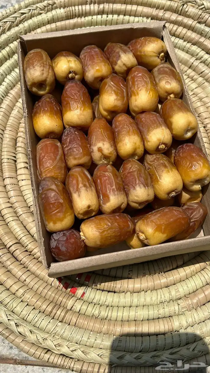 تمر صقعي طيب 3