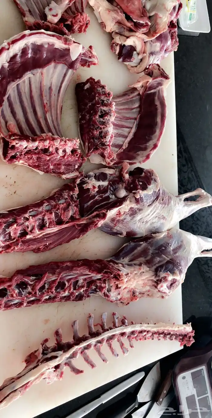 معلم مشويات 9