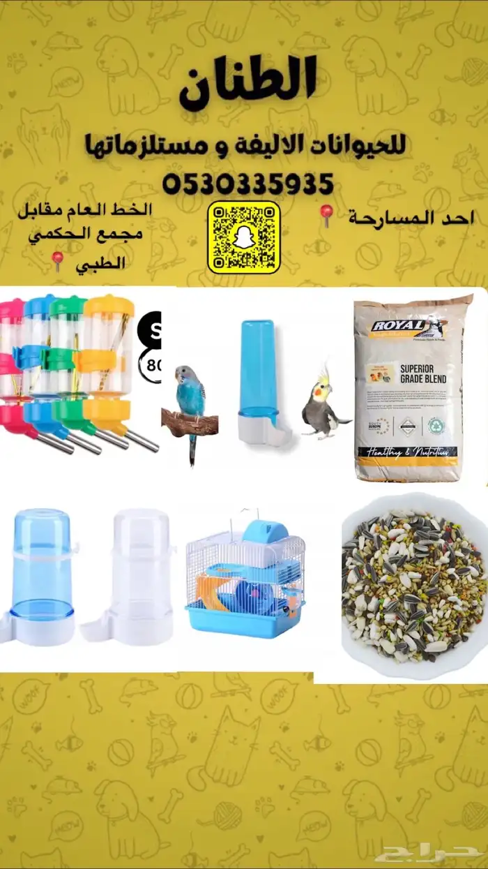 طيور سلاحف قطط 3