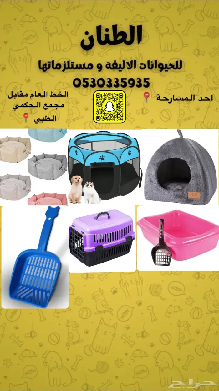 طيور سلاحف قطط 2