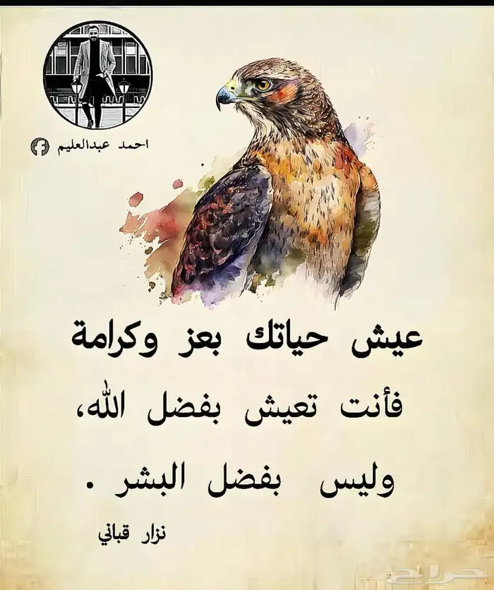 عروض طباعه اكواب واستيكرات وشرايط وورق زبده 54