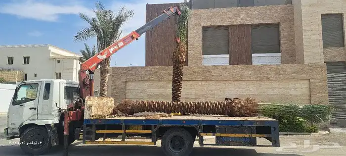 سطحه ونش كرين للإيجار الحمدانية 2