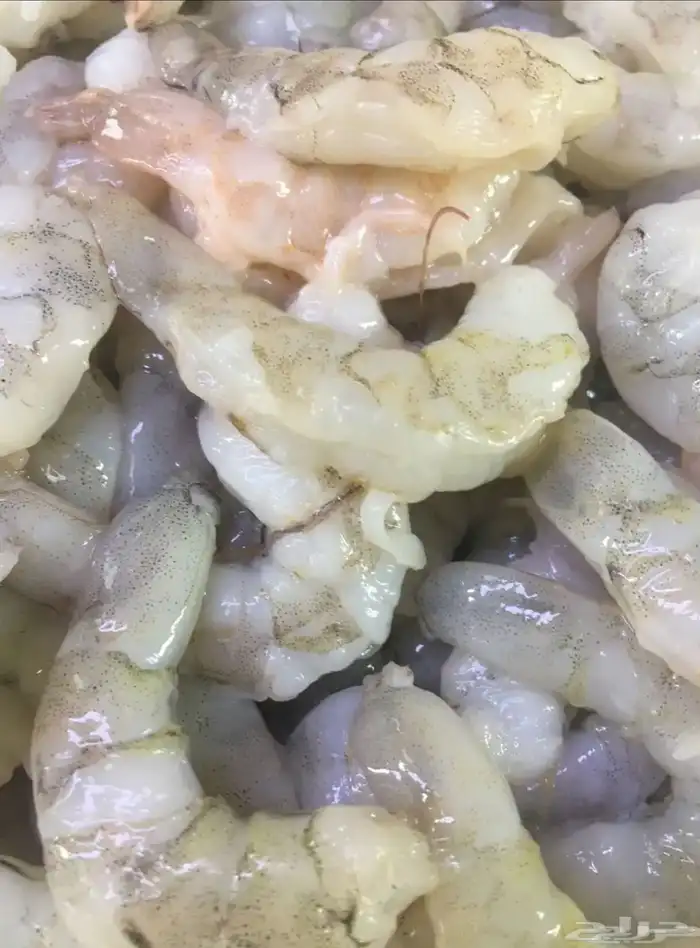 سمك بحري طازج توصيل مجاني 2