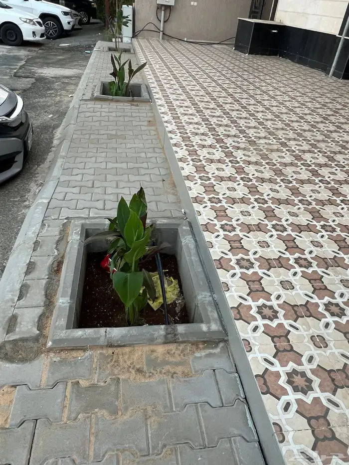 مقاول بناء ورصيف انترلوك و بندورة وزفلت وحوض أشجار 0