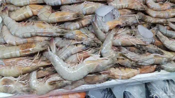 سمك بحري طازج توصيل مجاني 28