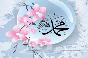 مسوقه اللي يبي اسوقه له يرسل خاص 0