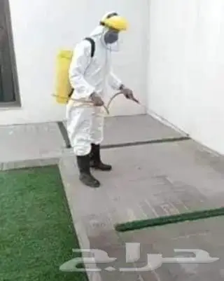 شركة مكافحة حشرات بالخبر والدمام 1