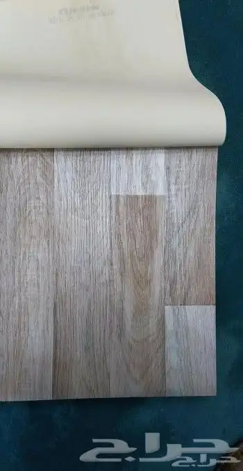 فينيل بلحيكي 16