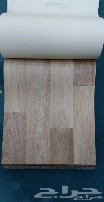فينيل بلحيكي 29