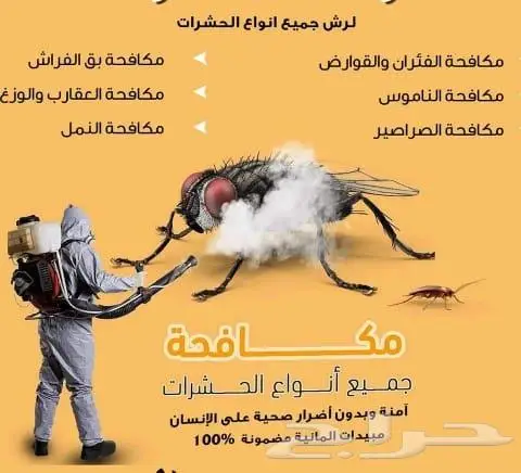 شركة مكافحة حشرات بالخبر والدمام 0