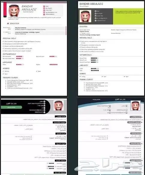 تصميم السيرة الذاتية CV او ATS CV باحترافية واقل تكلفة ووقت 0