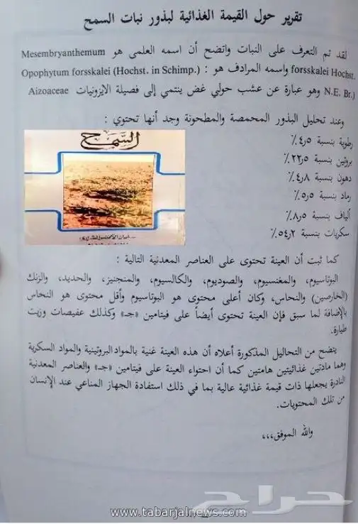 سمح بري 1