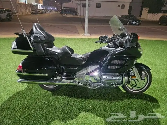 جولد وينق 2006 6