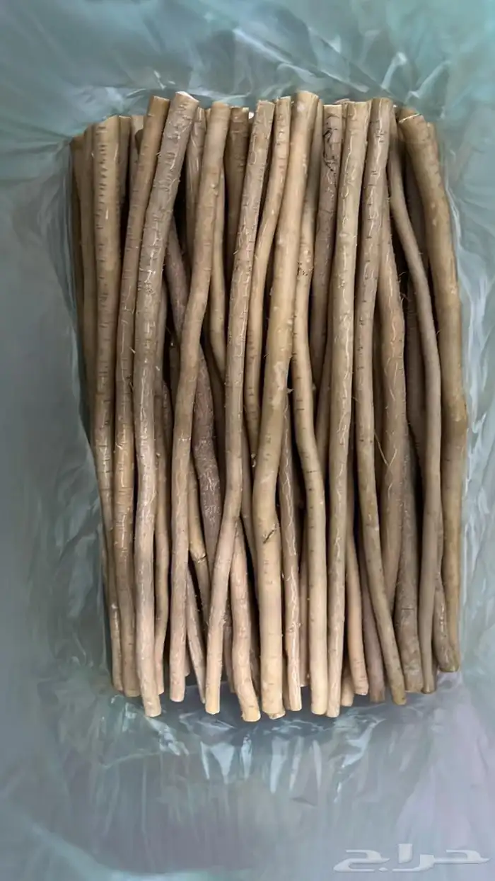 مساويك جمله واسعار جدا ممتازه 2