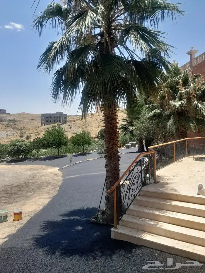 مقاولات الاسفلت الحار والمقشور والتخطيط ودك الارضي 5