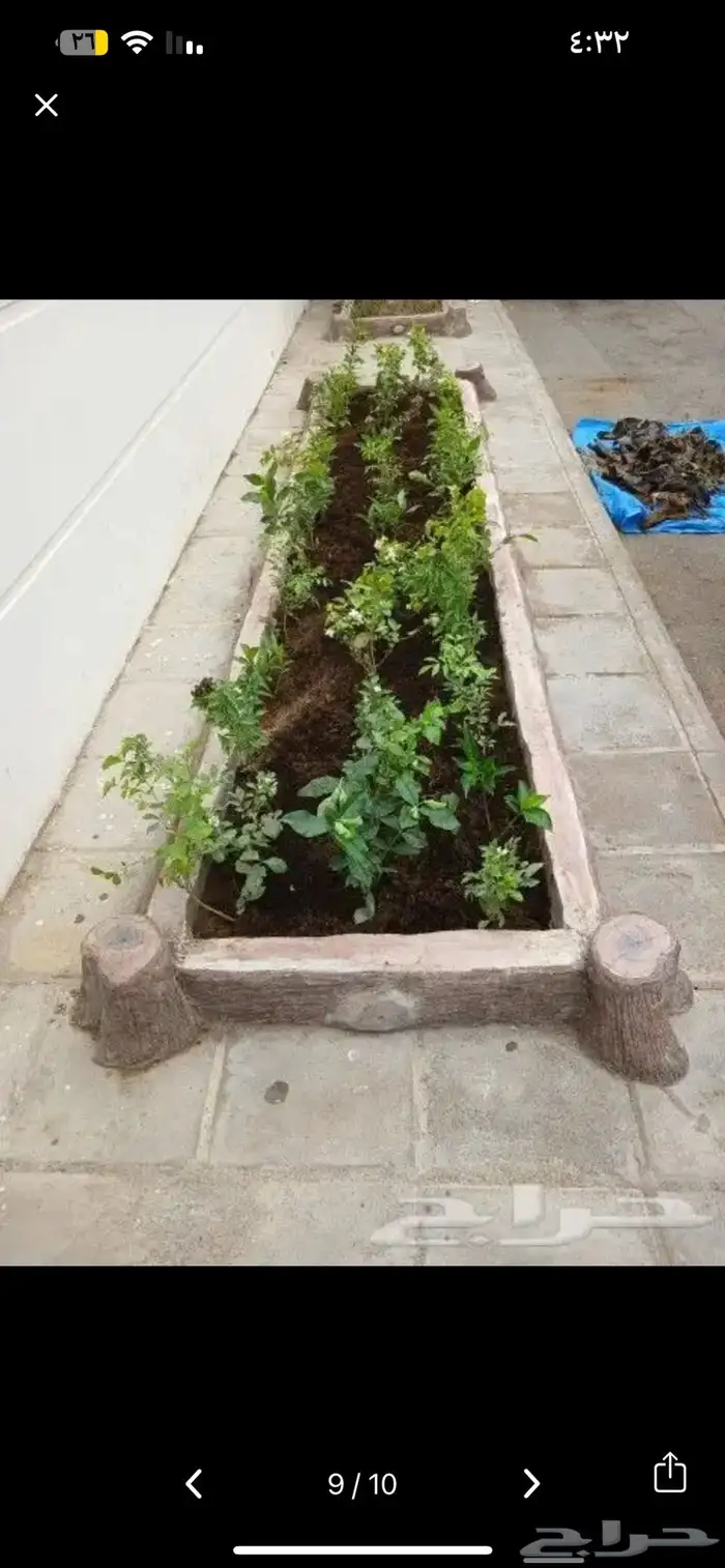 السريع للموكيت اقساط تابي وتمارا 48