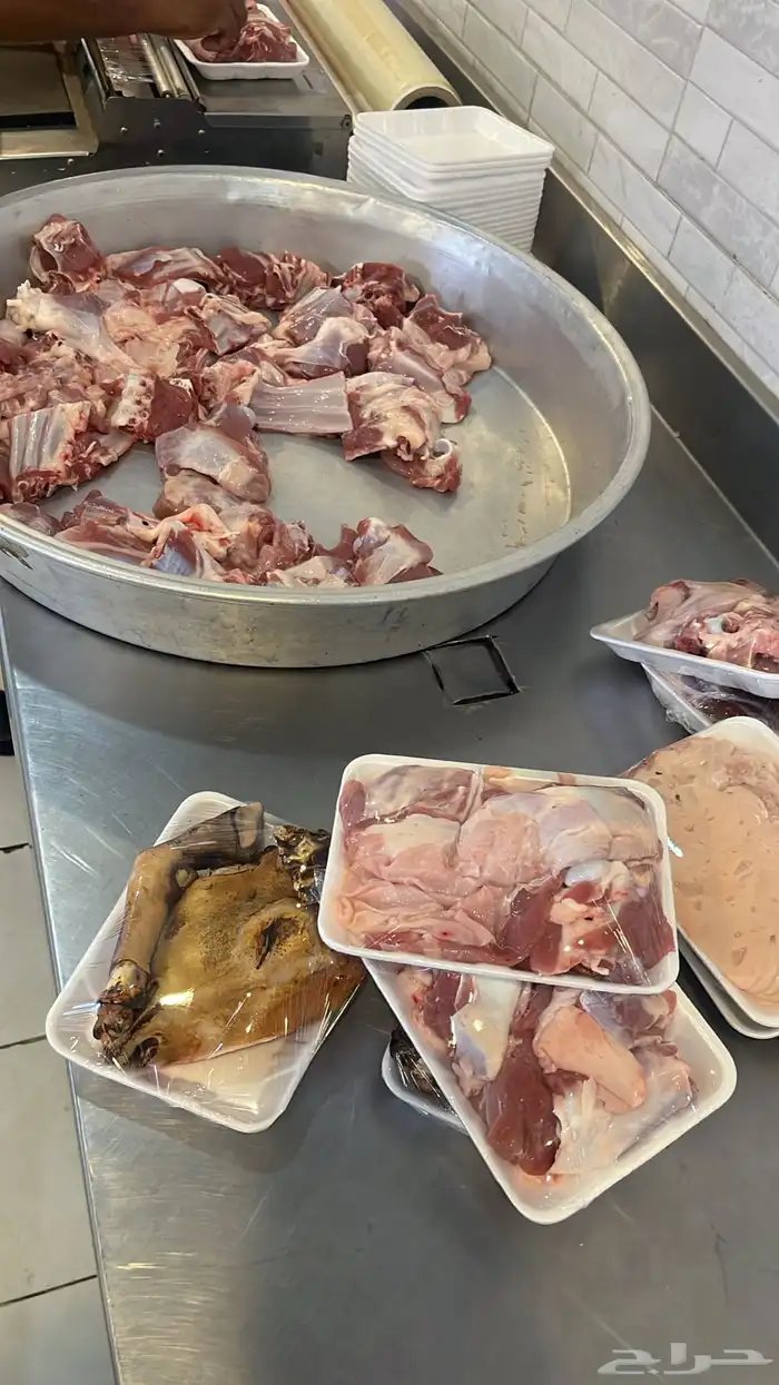 طليان وتيوس 6