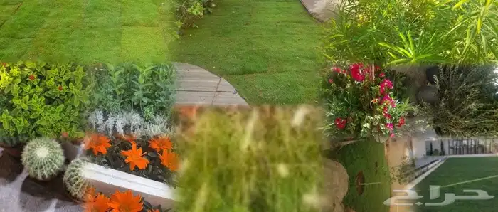 مشتل ابوعبدالله 2