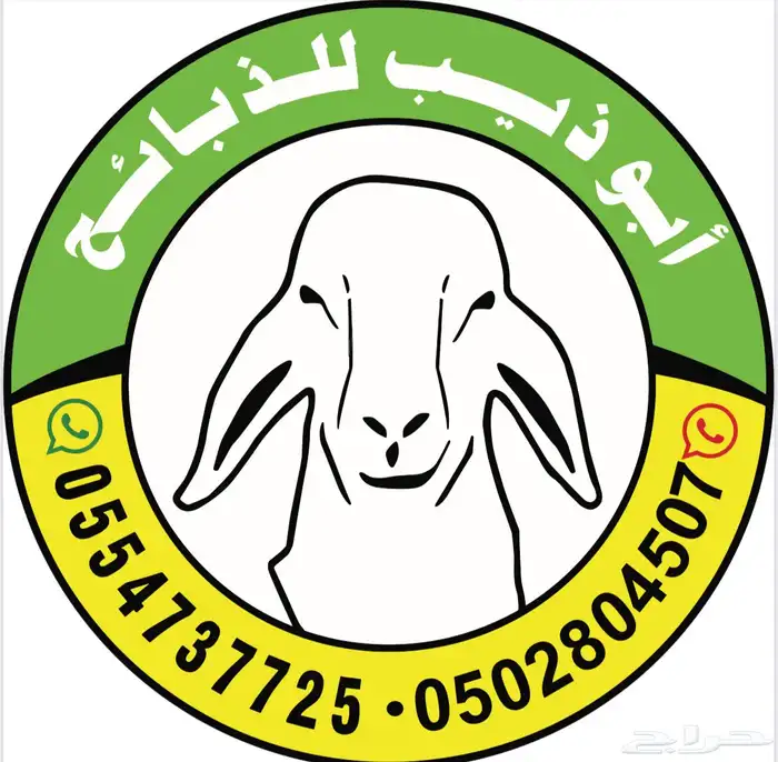 خرفان وتيوس ( يتوفر ذبح وتوصيل) 20