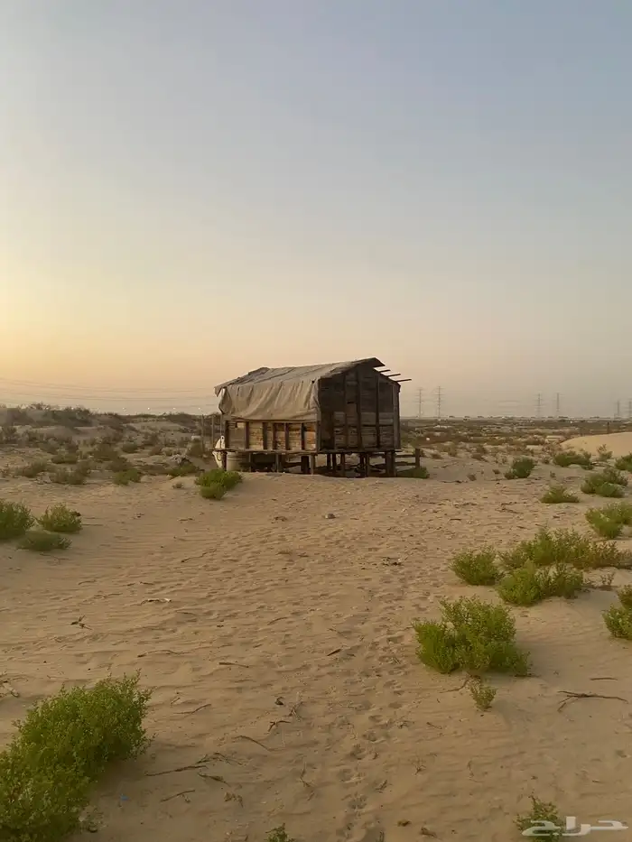 محلة شبك غنم للبيع فالدمام 2