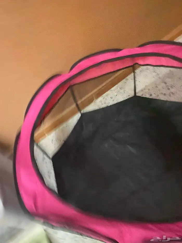 اغراض قطط 3
