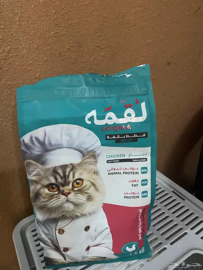 اغراض قطط 6
