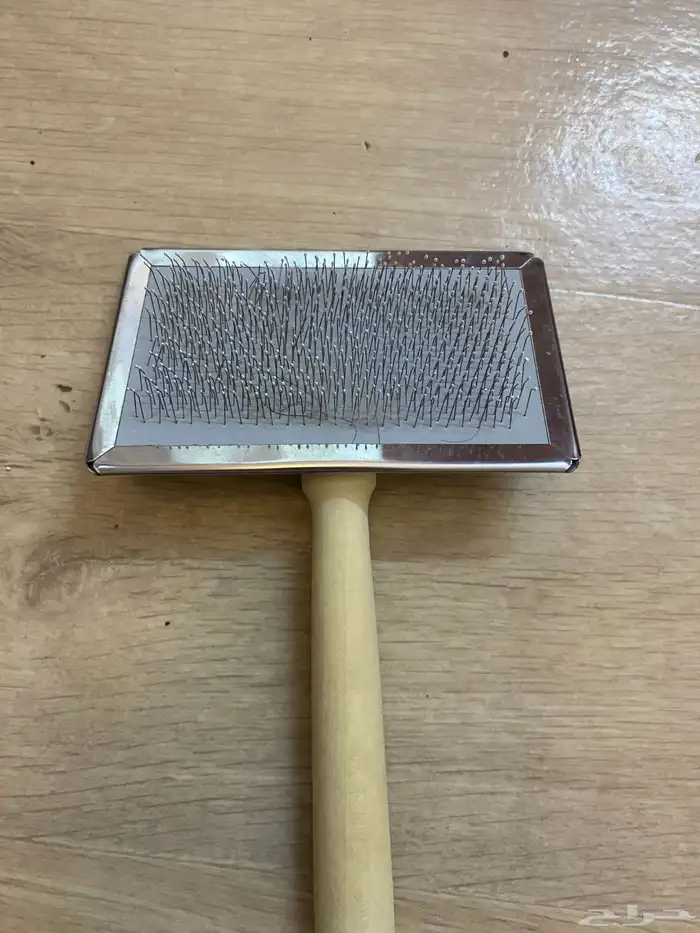 اغراض قطط 2